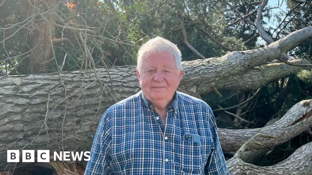 Wolverhampton neighbour wants answers over rugby club's fallen tree