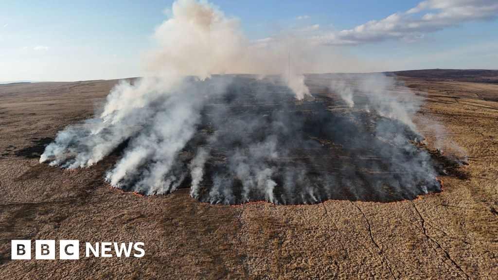 Dry weather and arson see 480% increase in wildfires