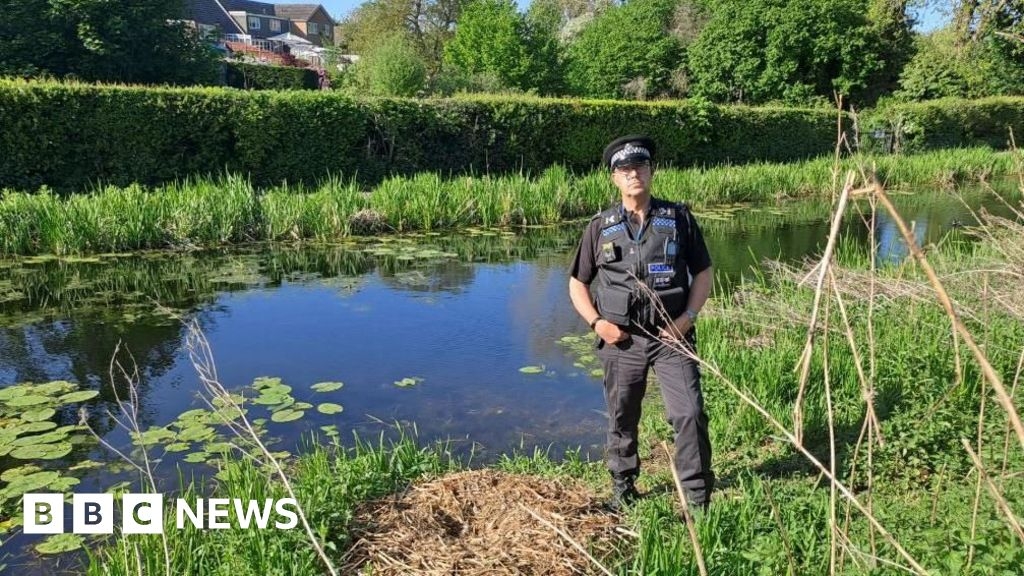 Newport town councillor rebuts swan death police cover-up claims