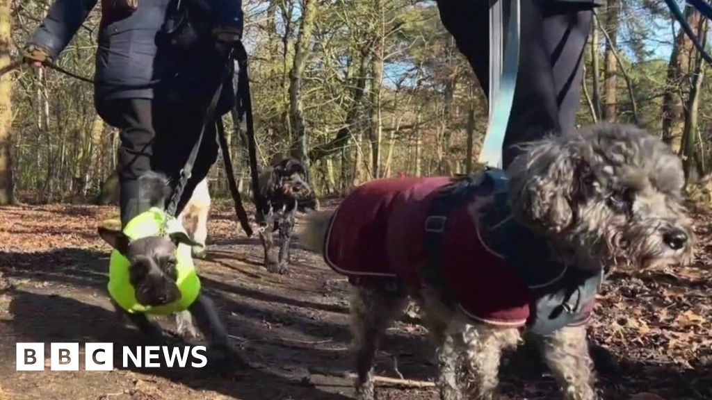 Commercial dog walkers angry at Harrogate Showground ban