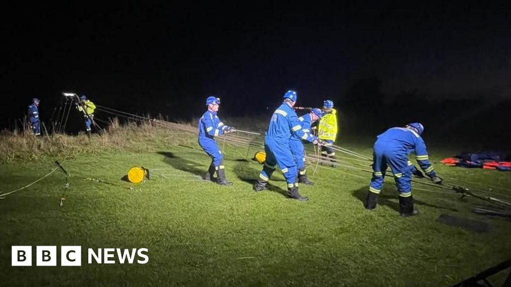 'Heartbreak' as dog dies after falling from Bridlington cliff