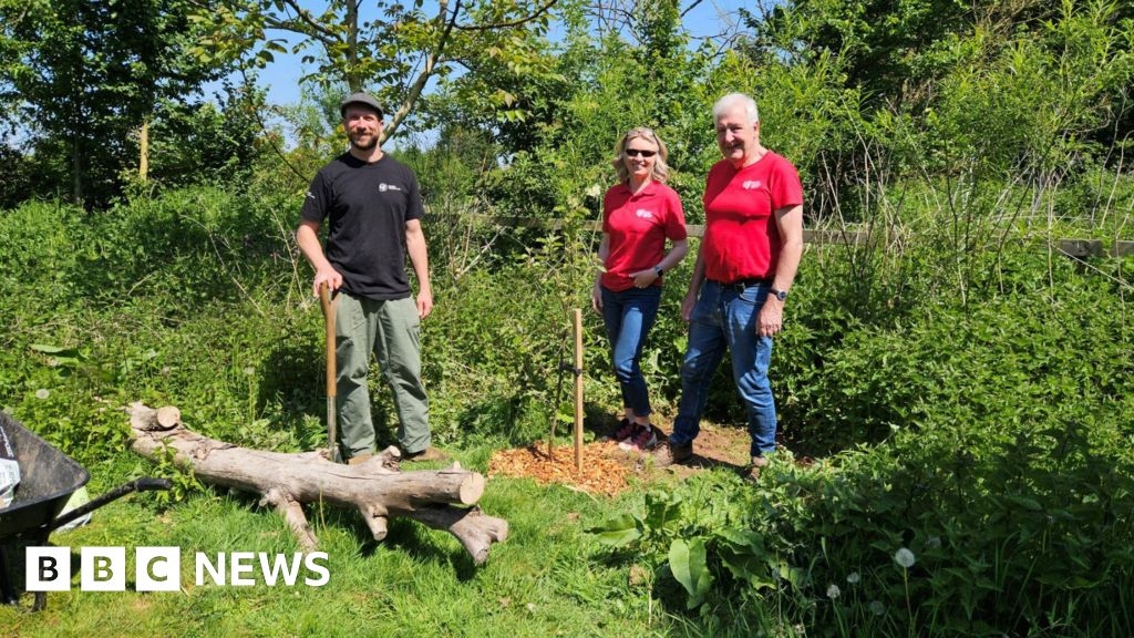 Thousands of trees to be planted in Devon