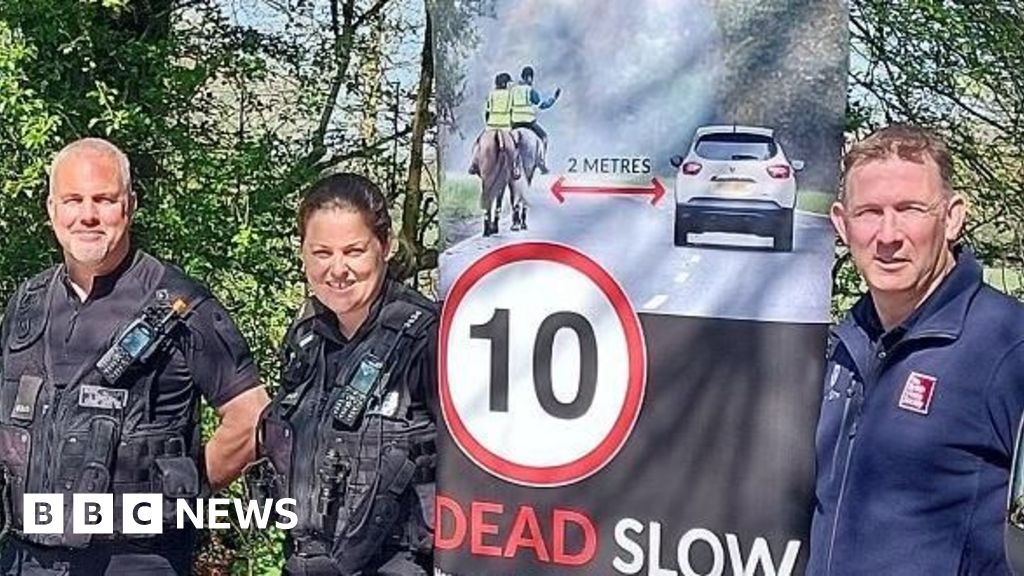 Drivers urged to pass horses with care on Dartmoor