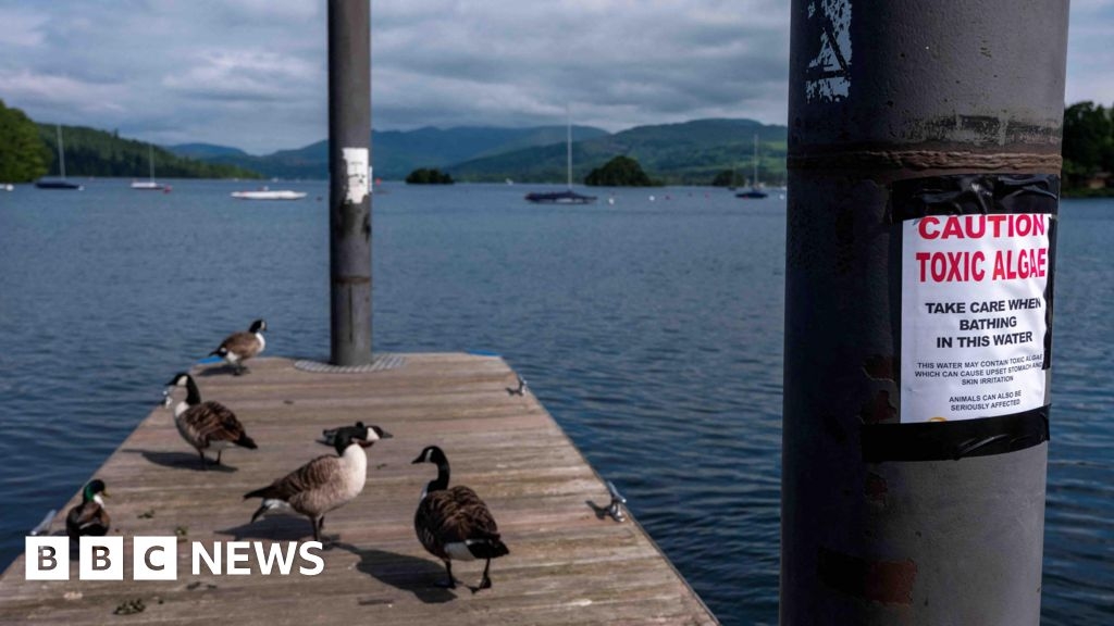 Stories from Cumbria you may have missed this week