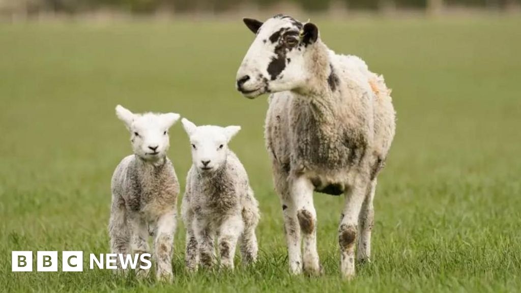 Signage reminds walkers to respect the Manx countryside