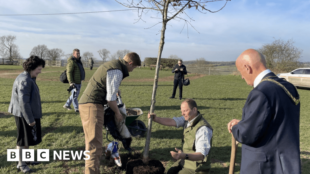 Richard III sapling planted on Leicestershire battlefield