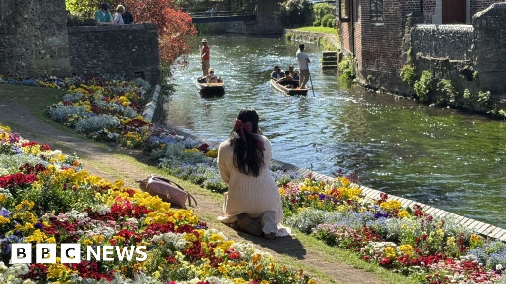 Action promised in Canterbury to protect 'iconic' Westgate blooms