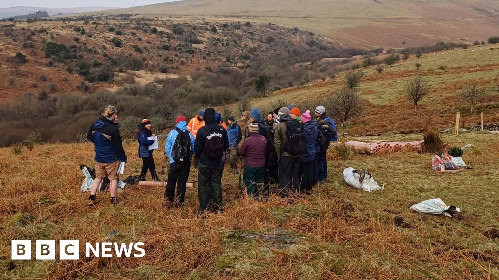Tree planting under way near Ivybridge to boost flood resilience