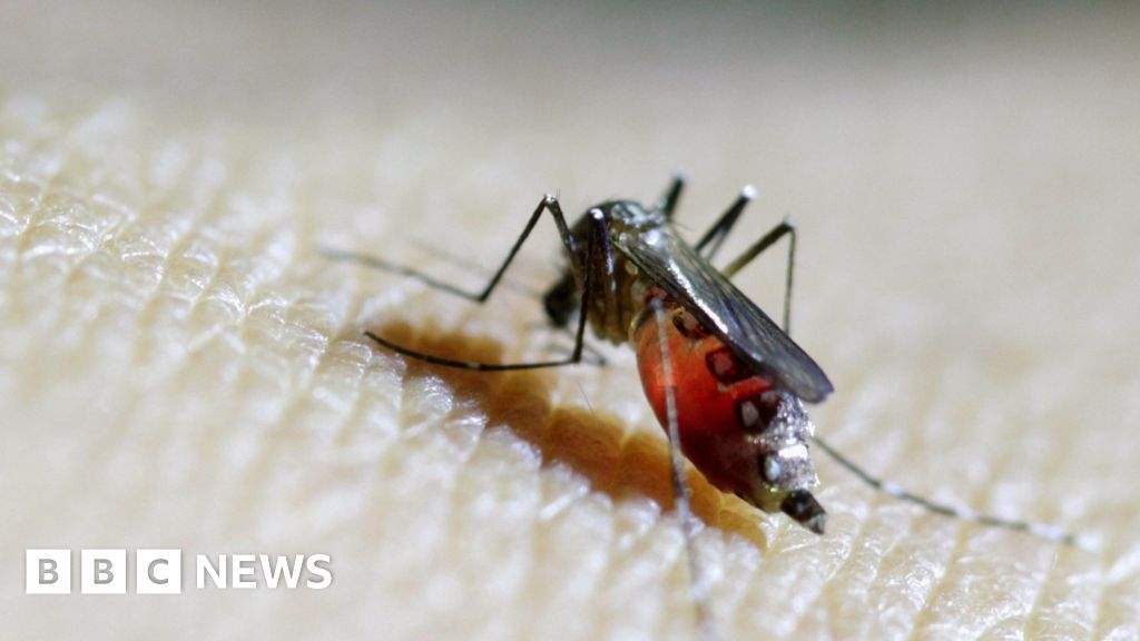 Nottingham virologist urges calm over West Nile virus