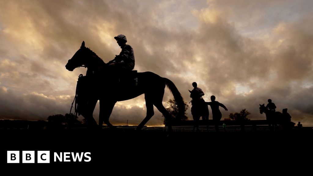 Somerset in Pictures: Racing, alpacas, rugby and live music