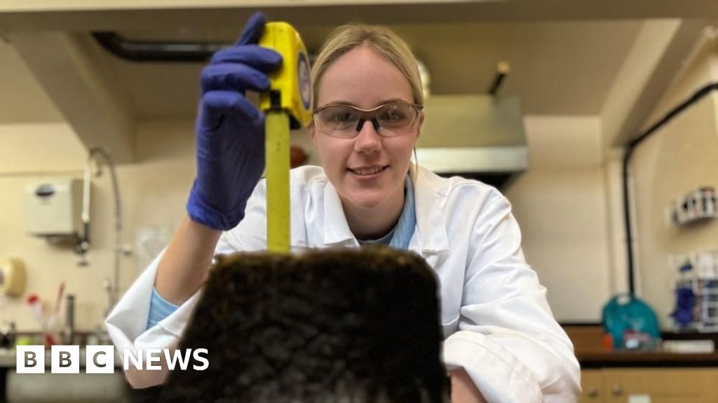 Toxic metals found in UK peatlands could pose health risk