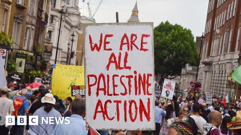 Met Police chief 'shocked' by planned Palestine Action protest in London