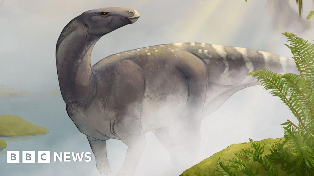 Pony-sized dinosaur revealed 52 years after discovery on Isle of Skye