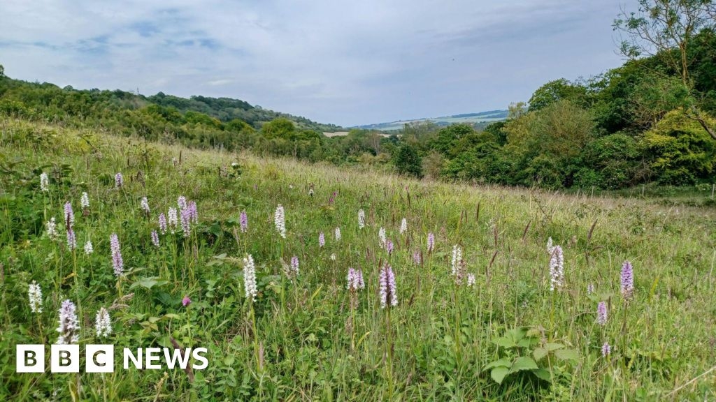 Kent landscape that inspired Dickens made nature reserve