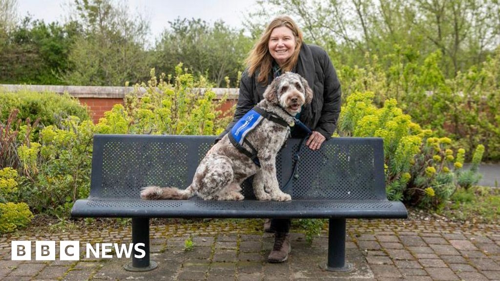 Support dog boosting Bath lecturer's confidence and independence