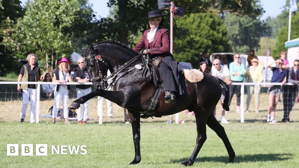 Meopham horse owner wins historic double victory