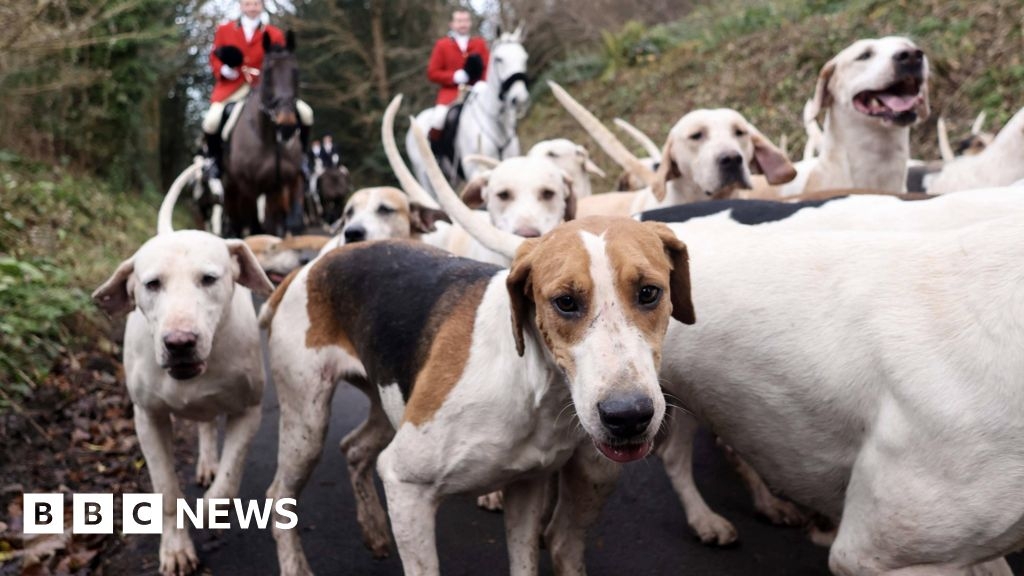 BBC Politics East: Countryside prepares for another hunting fight
