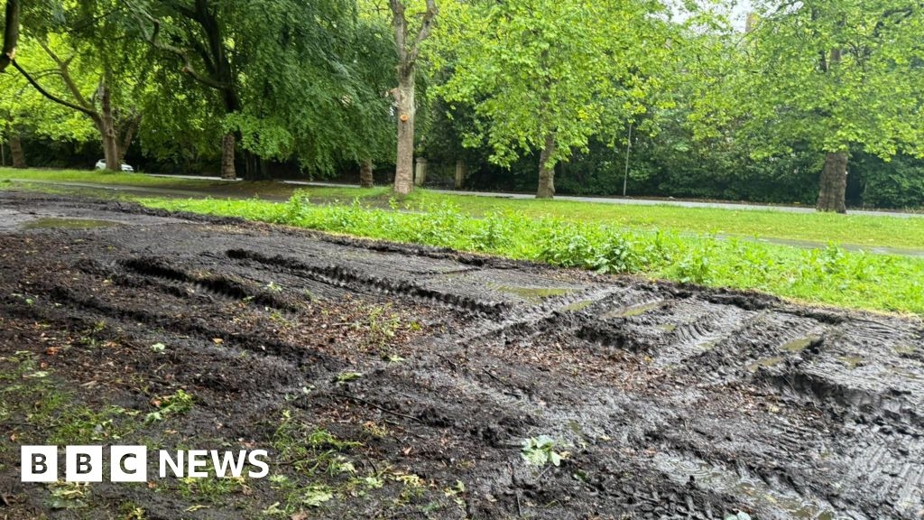 Concerns as park left 'churned up' after BBC Radio 1 event