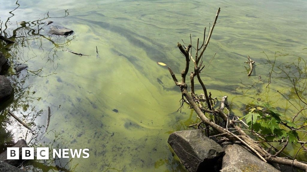 Castlewellan: Triathlon entries postponed over blue-green algae in lake