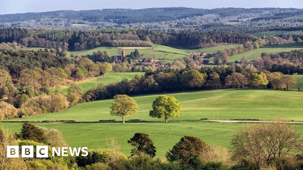 Surrey County Council approves reorganisation plans