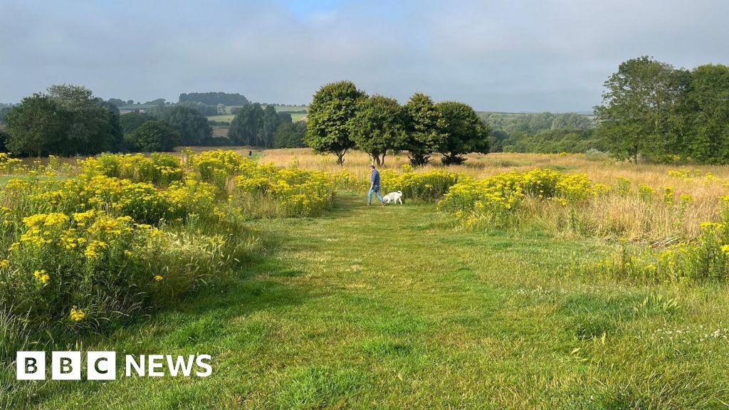 Highworth golf course new homes plan would be 'catastrophe'