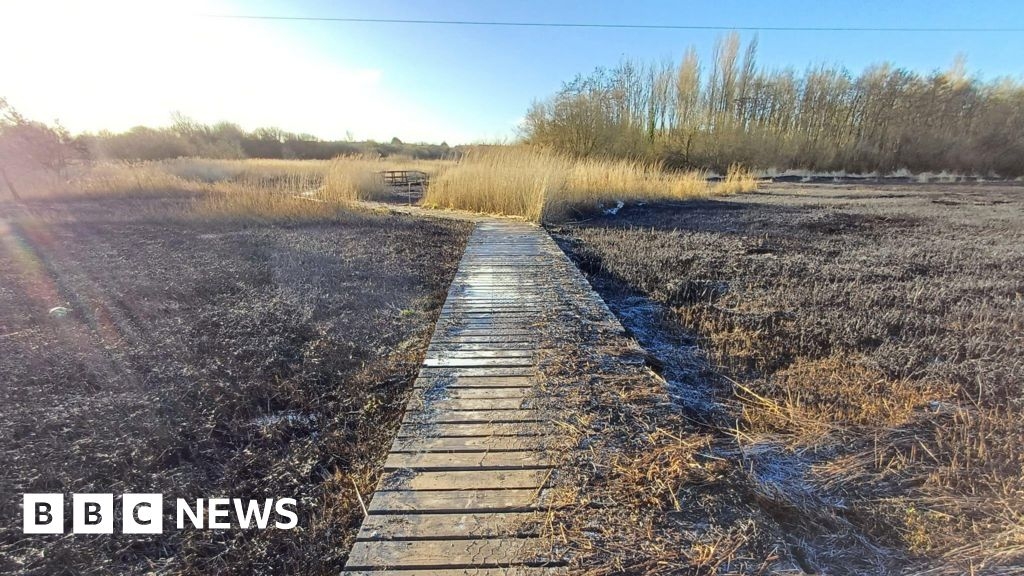 Sefton: Rimrose Valley wildlife 'at risk' after spate of fires