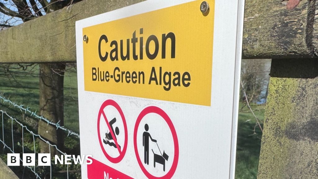 Ballygawley: Blue-green algae present in Martray Lough