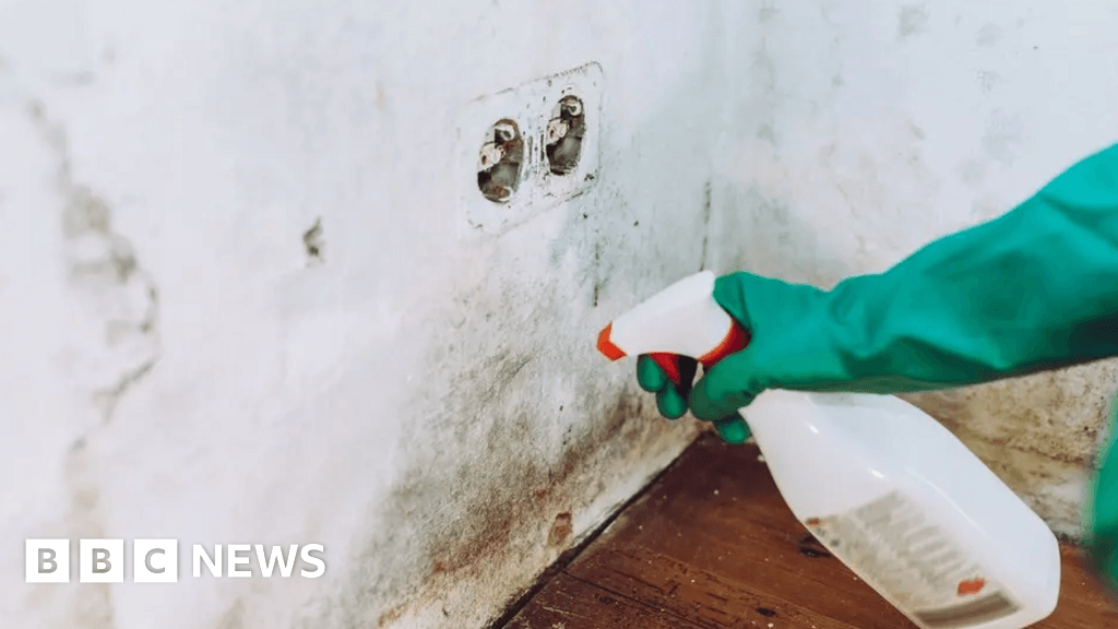 Redditch Borough Council to invest £500k to tackle damp and mould