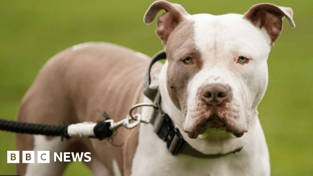 Banbury woman charged over suspected XL bully dog attack