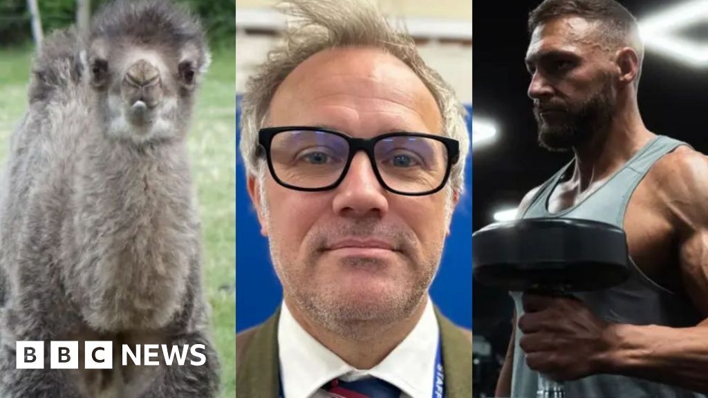 East of England news quiz of the week 31 May to 6 June