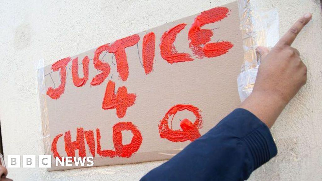 Child Q Met Police officer followed lead on strip-search, panel told