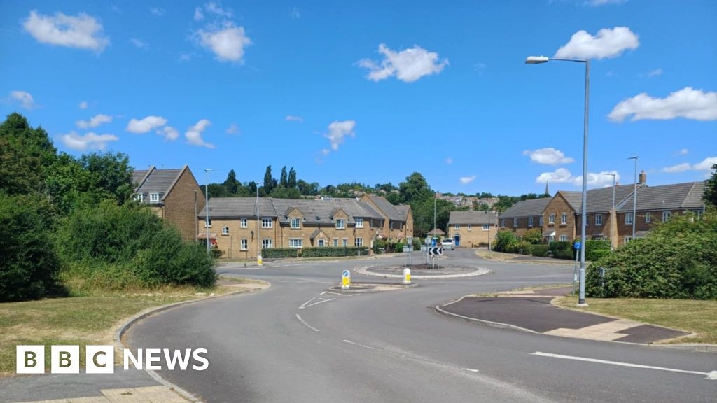 Developer given green light to remove hedgerows in Ilminster