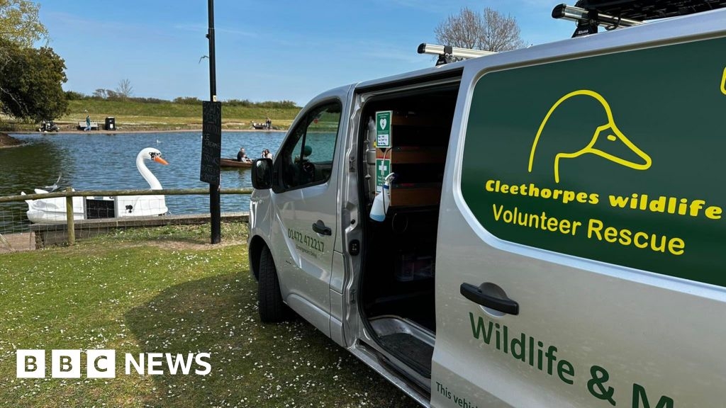 Cleethorpes Wildlife Charity seeks donations as rescues surge