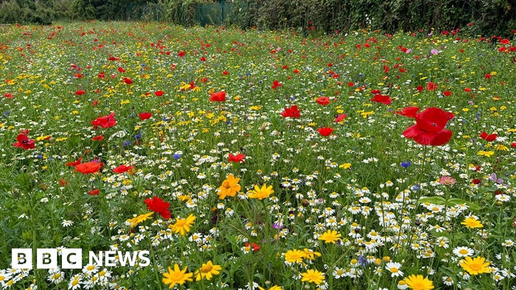 People asked for views on protecting nature in South Kesteven