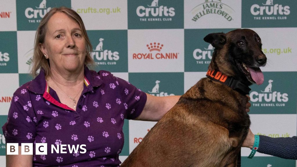 Retired Essex Police dog Baloo wins at Crufts 2025
