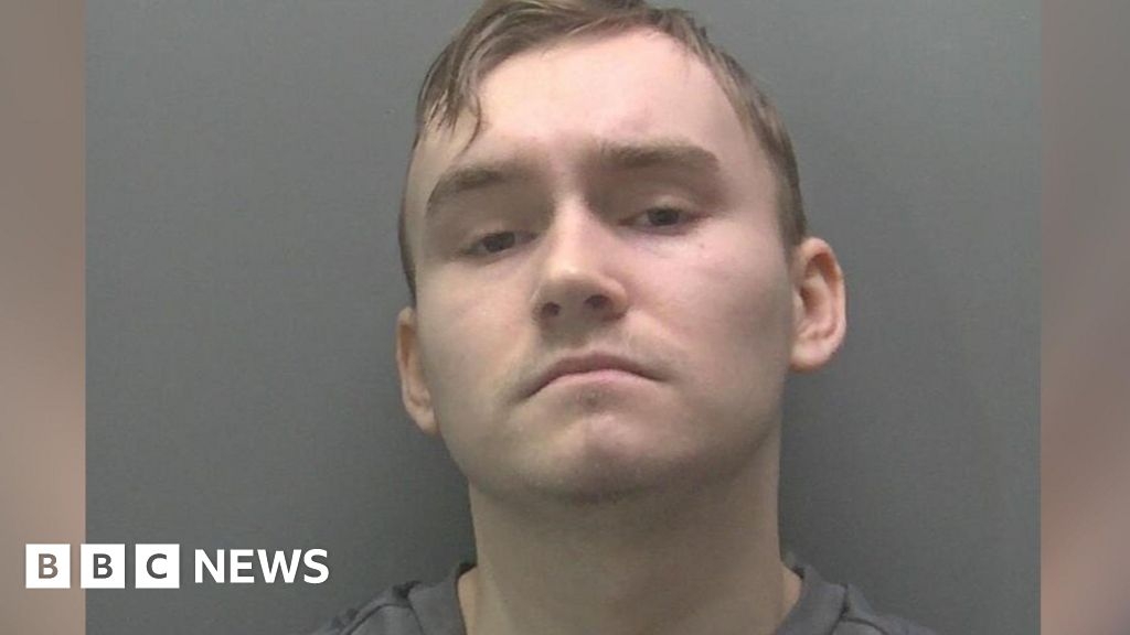 Peterborough teen tried to strangle woman and killed hamster