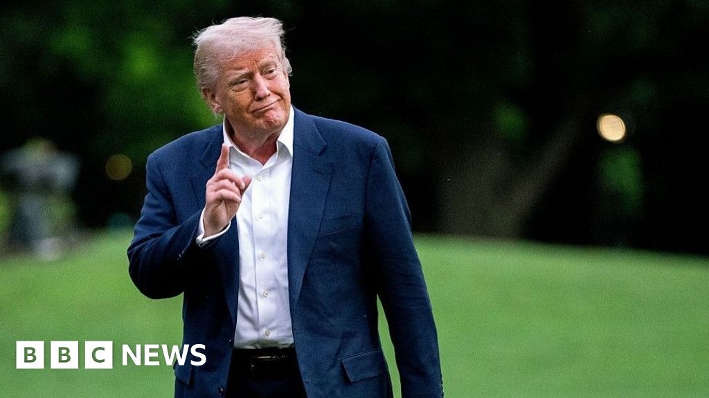 Trump offers illegal immigrants $1,000 to 'self-deport'