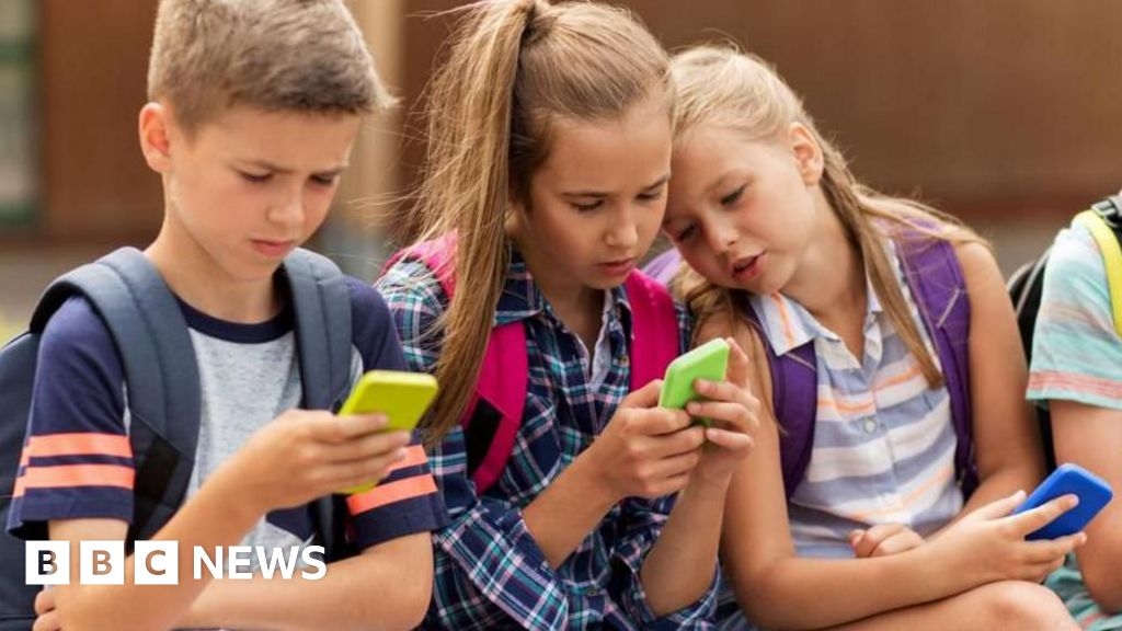 School mobile phone ban call rejected after Senedd inquiry