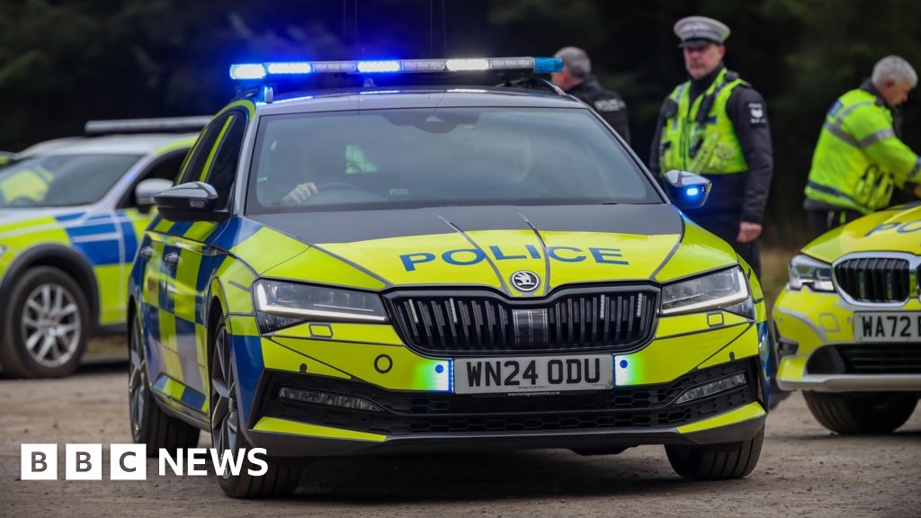 Person helps stop Torquay police officer being attacked