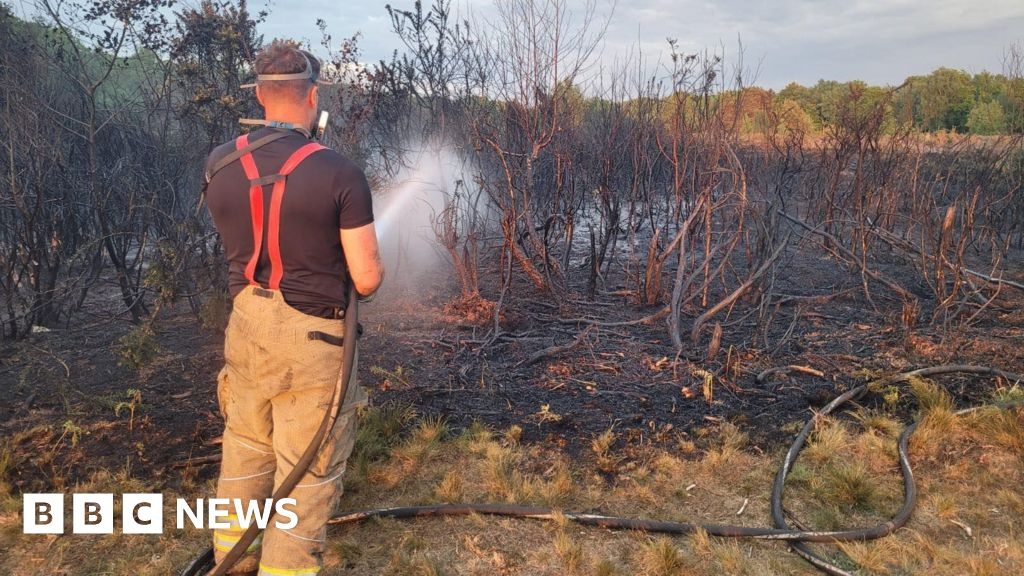 Wildfires break out in New Forest and Yateley woods and heath
