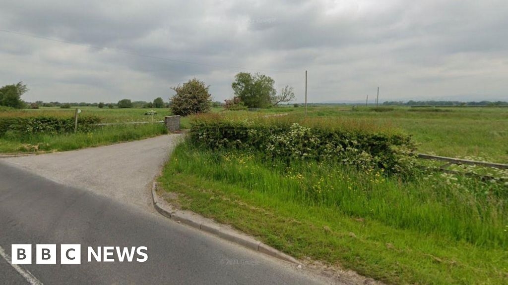 Sheep to graze under solar panels in Preston green energy scheme