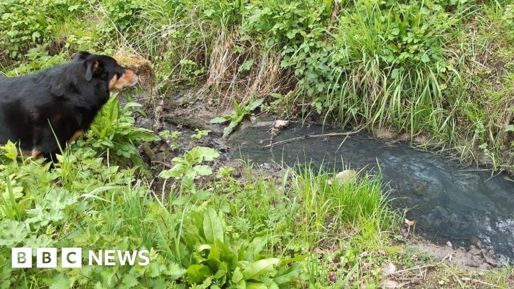 Northumberland stream stinking due to 'wrongly linked' sewage pipe