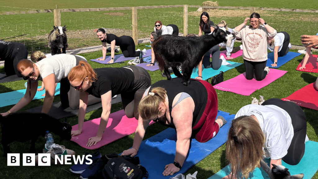 Hull Girlies changing lives by tackling loneliness