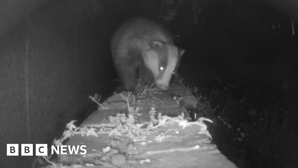 The Sheffield street that appears on BBC Springwatch