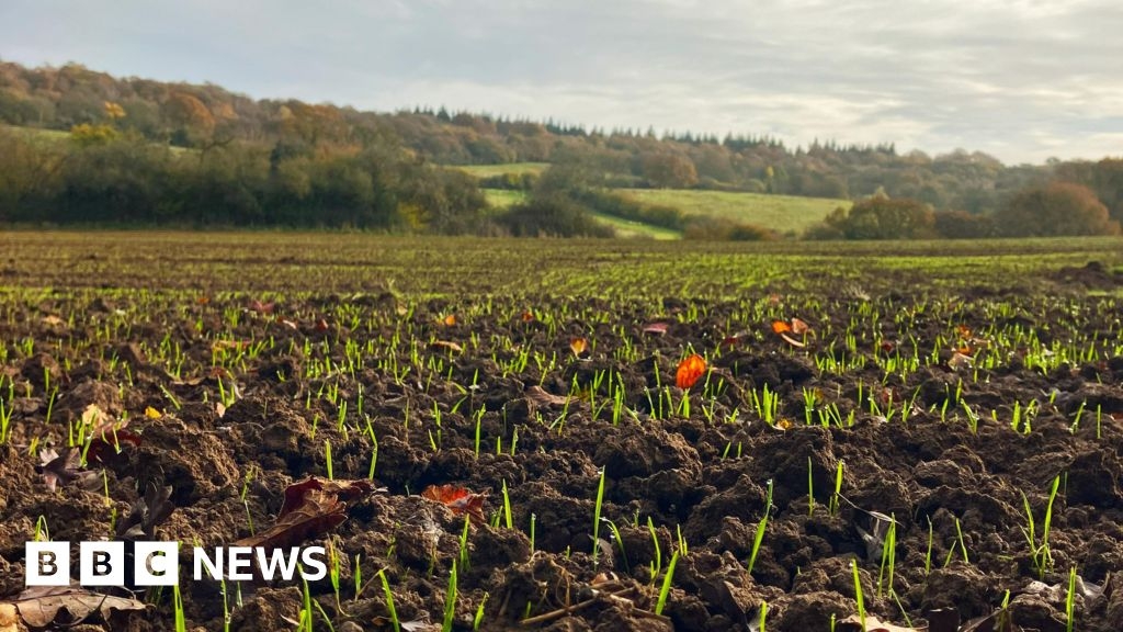 Forest of Dean to get first extension in more than 200 years