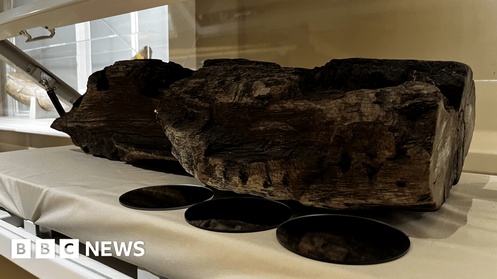 Carved wood found in Berkshire dating back 6,000 years goes on display
