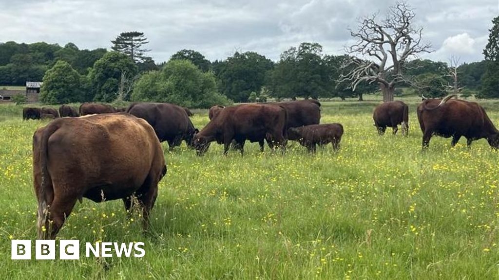 Surrey farmers say abattoir closures a 'growing problem'