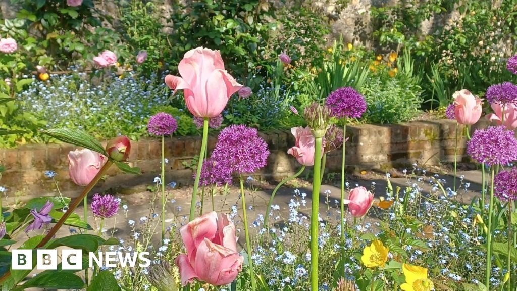 Wiltshire in Pictures: Sunny days, waterside walks and Longleat