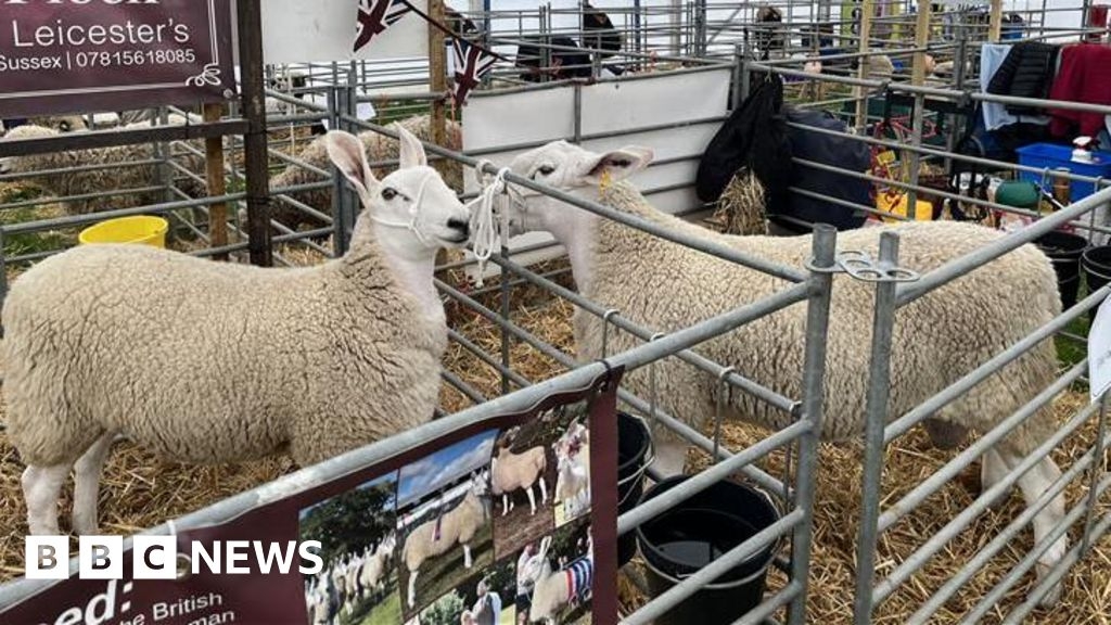 'Difficult year' for farmers as South of England Show begins