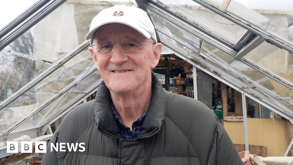 Belfast allotments: Demand outweighs availability